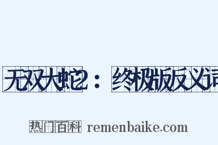 无双大蛇2：终极版反义词是什么意思的图片